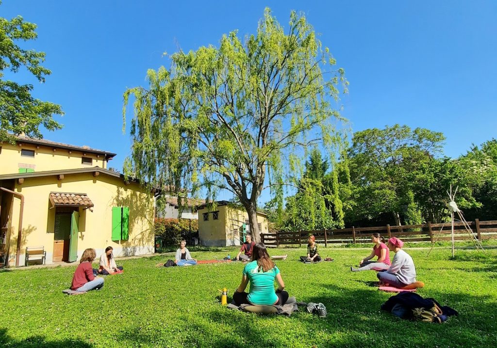 Mindfulness, natura e animali: perché meditare nella natura fa bene