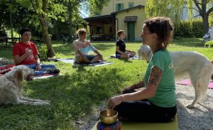 I 7 pilastri della pratica di meditazione Mindfulness